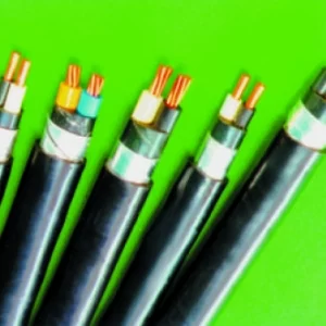 CÁP ĐIỆN KẾ (MULLER)